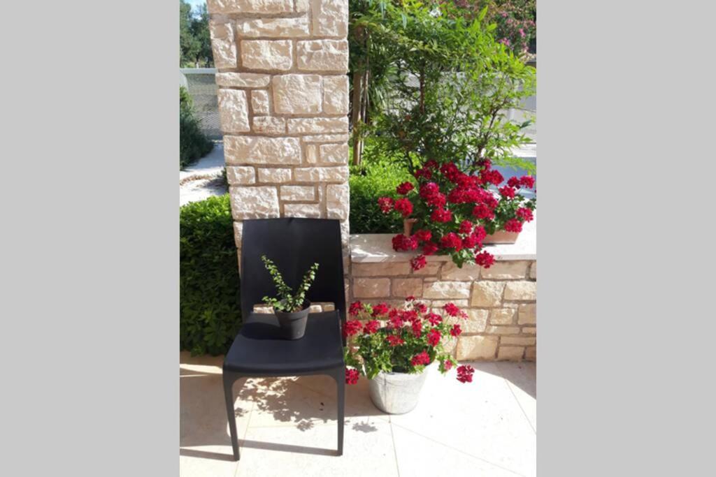 Novigrad Istria For Families Only - Casa Nora Novigrad 빌라 외부 사진